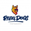 Rebel Dogs Photography